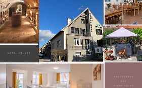 Mikulov - Inn - hotel s vinným sklepem Venuše